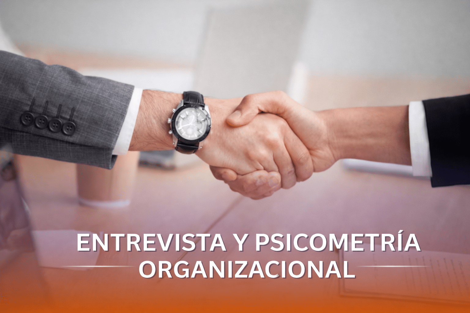 Entrevistas y psicometría organizacional